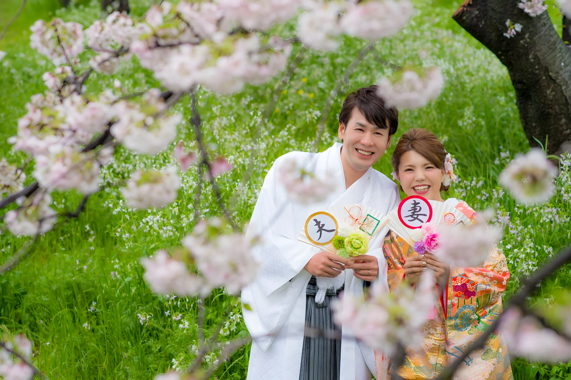 桜満開のロケ撮影